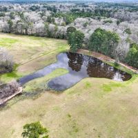 66 Acres Phelps Slab Road images 5