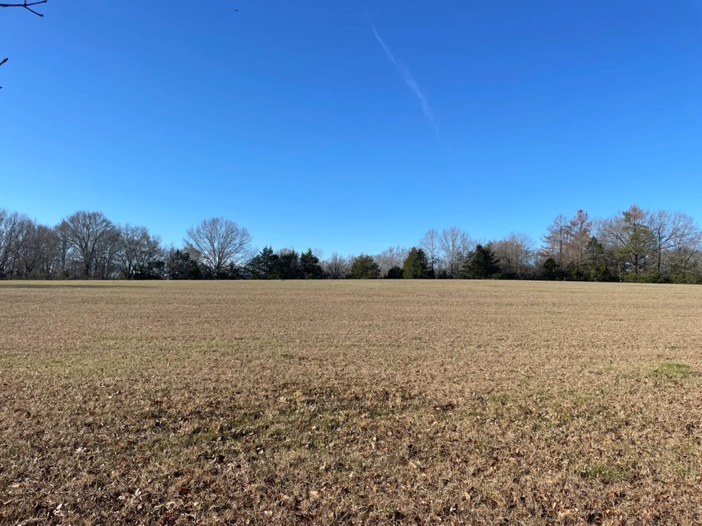 9.3 Acres in Hinds County MS featured image