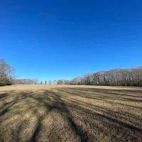 9.3 Acres in Hinds County MS images 2