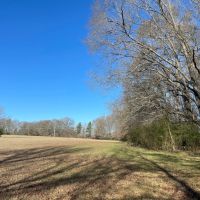 9.3 Acres in Hinds County MS images 3