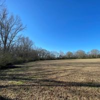 9.3 Acres in Hinds County MS images 4
