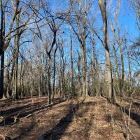 9.3 Acres in Hinds County MS images 5