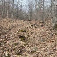 Wooded Ozarks Acreage images 4