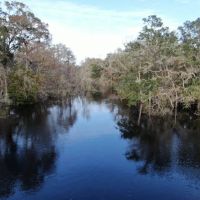 Econfina Riverfront 936 images 4