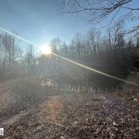 Clearings-ponds-7