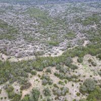Hunting Land for Sale in Smith Ranch - Lampasas County TX images 2