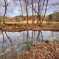 Western Kentucky Hunting Farm images 3