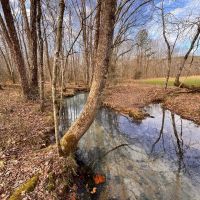 Western Kentucky Hunting Farm images 4