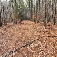 Western Kentucky Hunting Farm images 5