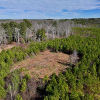 11.19 acres of Residential and Recreational Land For Sale in Moore County NC images 3