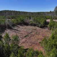 11.19 acres of Residential and Recreational Land For Sale in Moore County NC images 5