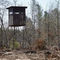 265 Acres in Kemper County MS images 2