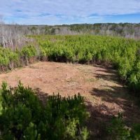 10.76 acres of Residential and Recreational Land For Sale in Moore County NC images 3