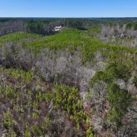 10.76 acres of Residential and Recreational Land For Sale in Moore County NC images 4