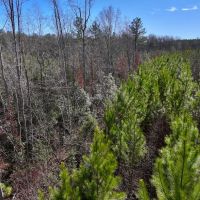 10.76 acres of Residential and Recreational Land For Sale in Moore County NC images 5