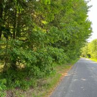 Western Adirondacks images 2