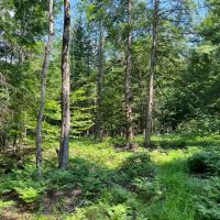 Western Adirondacks images 4