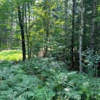Western Adirondacks images 5
