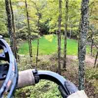 Patrey Branch Hunting Tract images 2