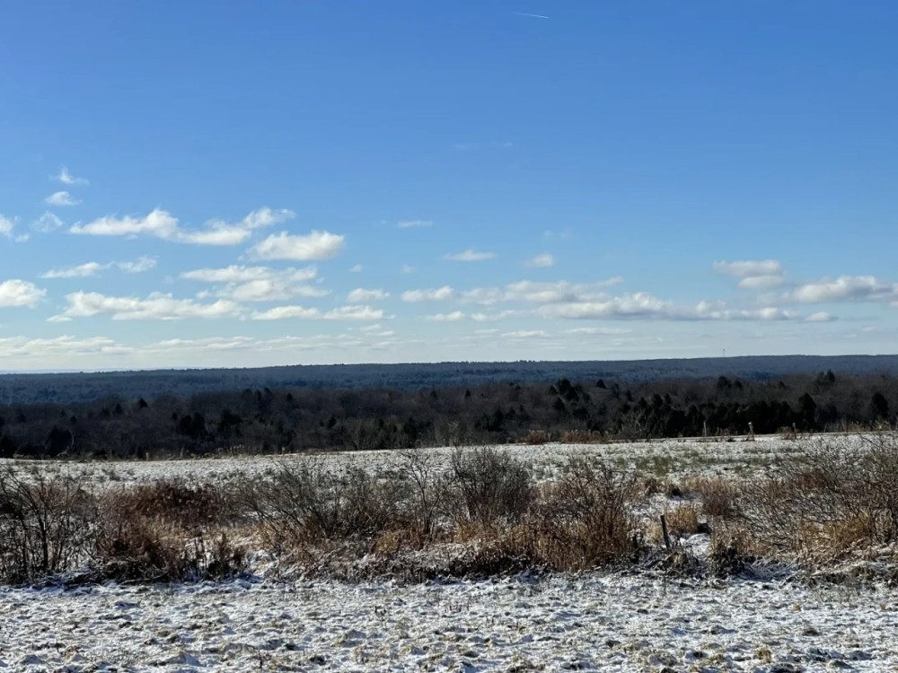 Beautiful Country Home Site with Views featured image