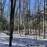 Beautiful Country Home Site with Views images 2