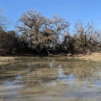 New Listing 157.5 - Acres Comanche County images 2