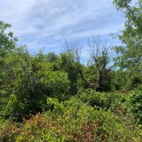 New Listing 157.5 - Acres Comanche County images 3