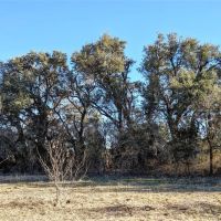 New Listing 157.5 - Acres Comanche County images 5