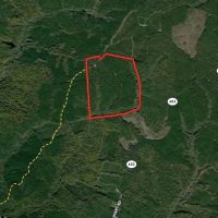 148 Acres Timber Land for Sale in King Queen Co VA