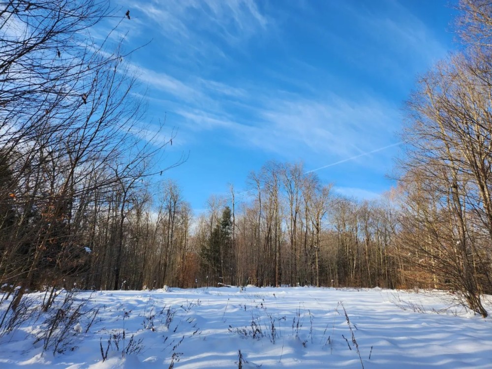 On Steelhead Lane featured image