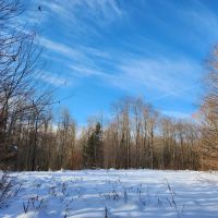 On Steelhead Lane