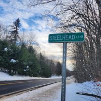 On Steelhead Lane images 2