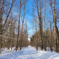 On Steelhead Lane images 3