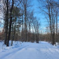 On Steelhead Lane images 4