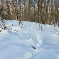 On Steelhead Lane images 5