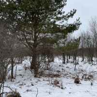 Minutes to Salmon River Reservoir