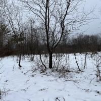Minutes to Salmon River Reservoir images 4