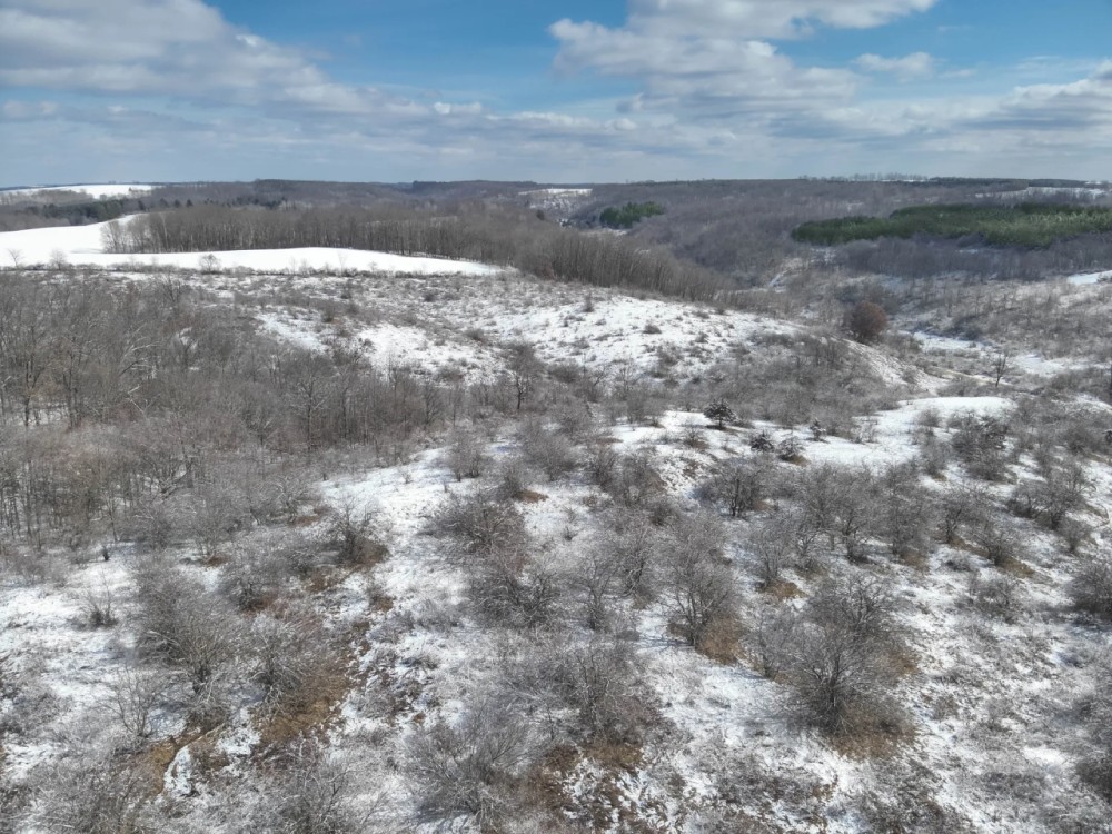 Hunting and Recreational Land for sale in Richland County WI featured image