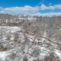 Hunting and Recreational Land for sale in Richland County WI images 3