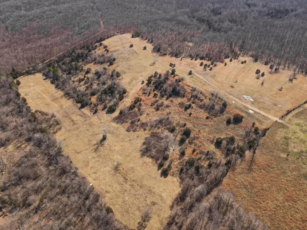 40 Acres Joining National Forest For Sale in Ripley County MO featured image