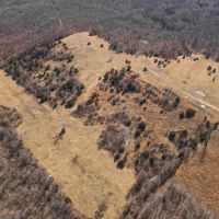 40 Acres Joining National Forest For Sale in Ripley County MO