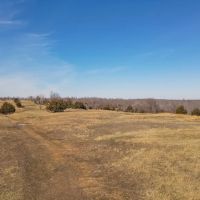 40 Acres Joining National Forest For Sale in Ripley County MO images 2