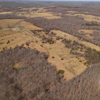 40 Acres Joining National Forest For Sale in Ripley County MO images 5