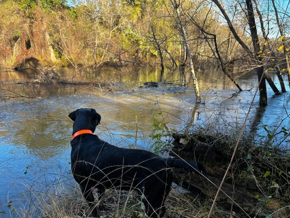 Ochlockonee River Place featured image