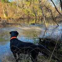 Ochlockonee River Place