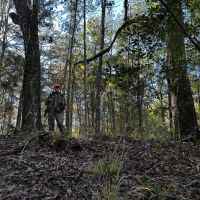 Ochlockonee River Place images 4