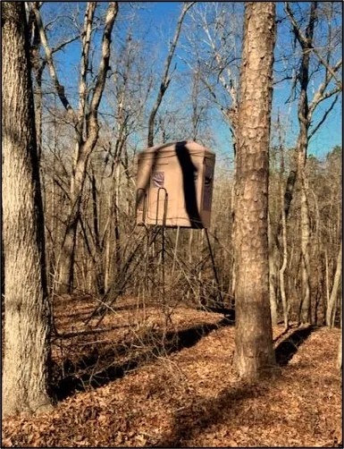 100 Acres in Choctaw County in Ackerman MS featured image