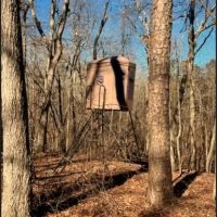 100 Acres in Choctaw County in Ackerman MS