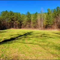 100 Acres in Choctaw County in Ackerman MS images 2