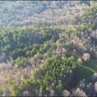 100 Acres in Choctaw County in Ackerman MS images 3